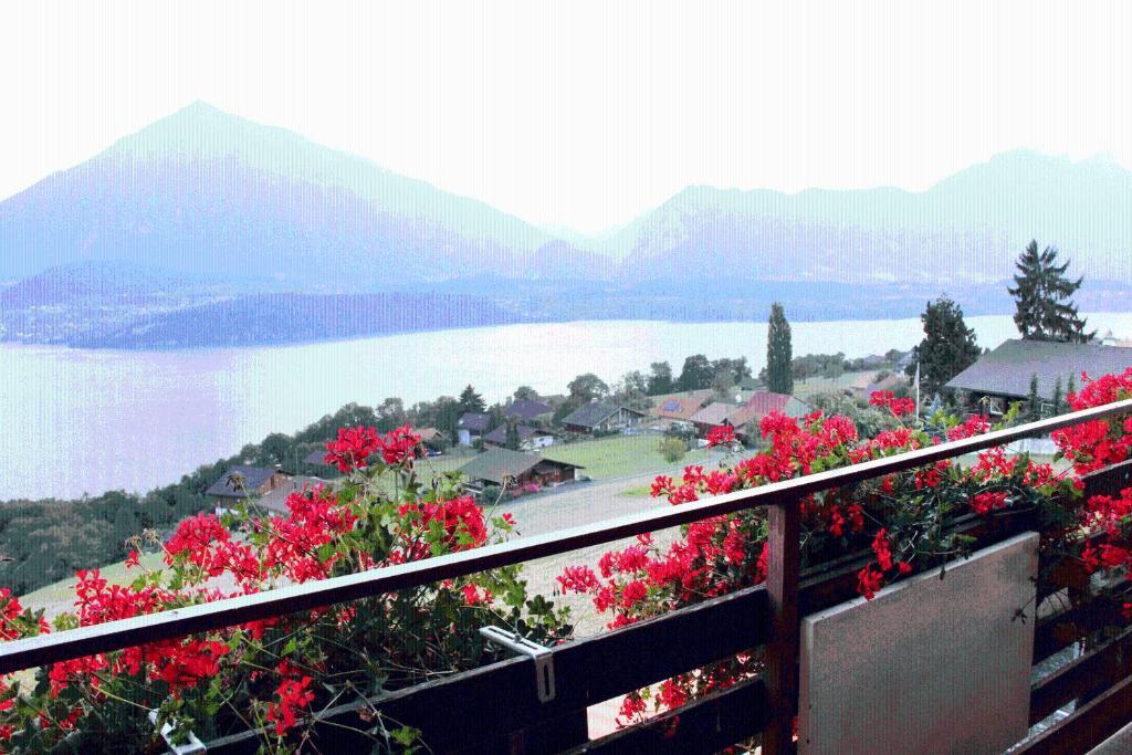 Hotel Restaurant Panorama Thun Bilik gambar