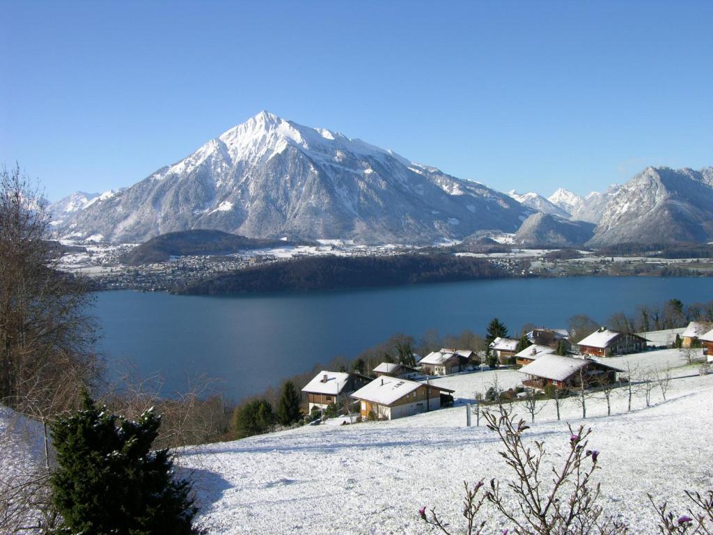Hotel Restaurant Panorama Thun Bilik gambar